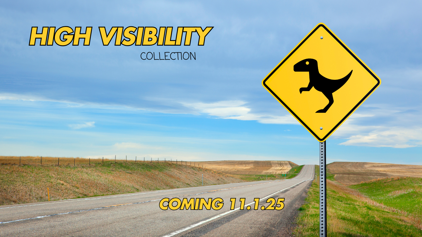 HIGH VISIBILITY