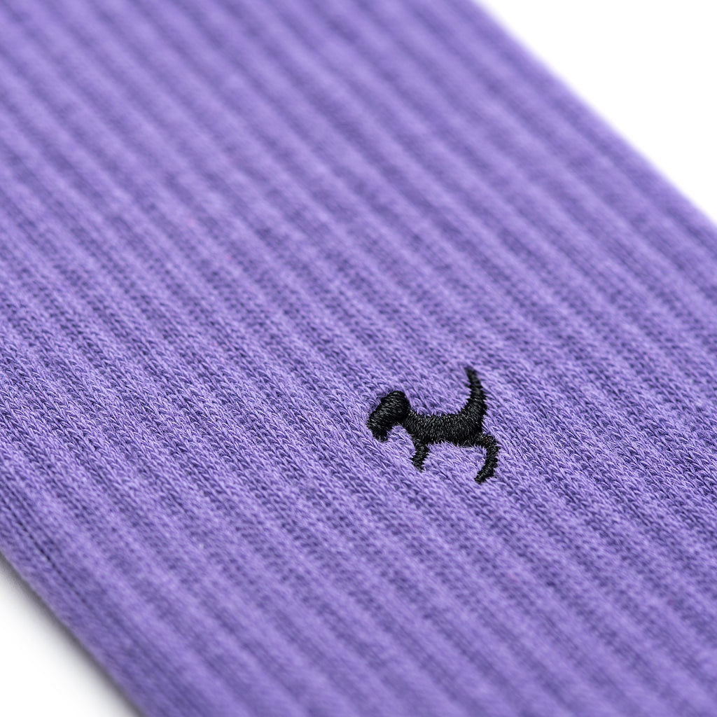 Calm Lavender